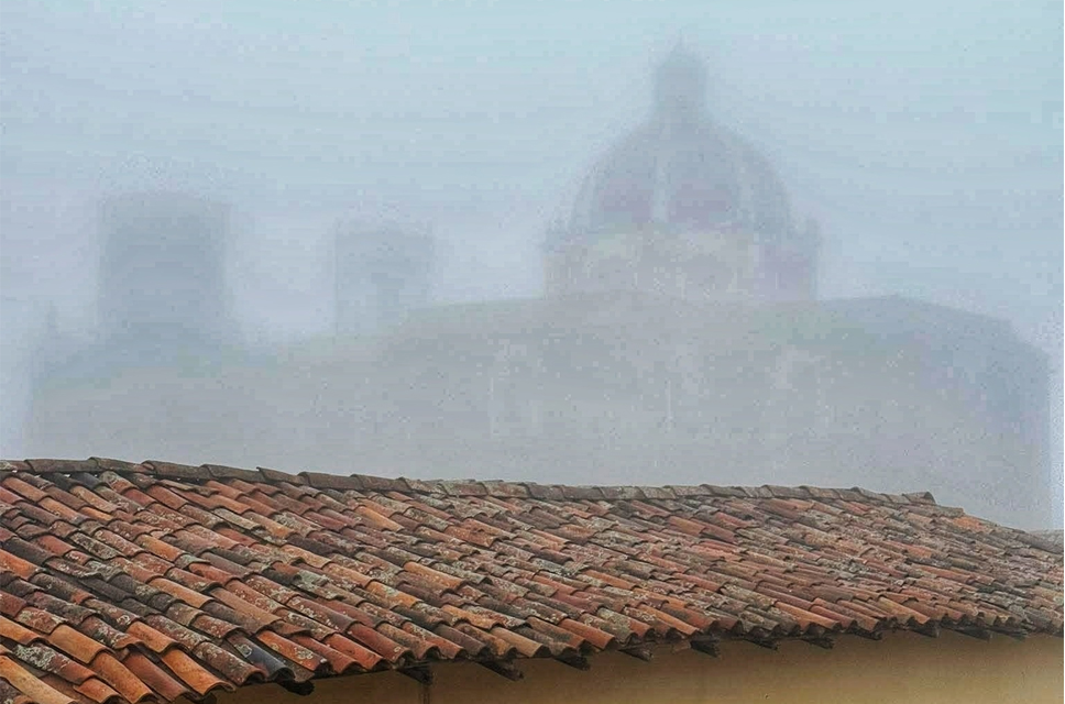 Foto: Redes sociales.